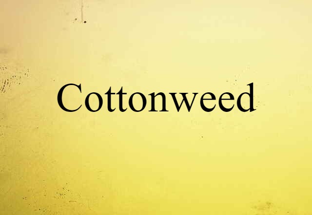 cottonweed