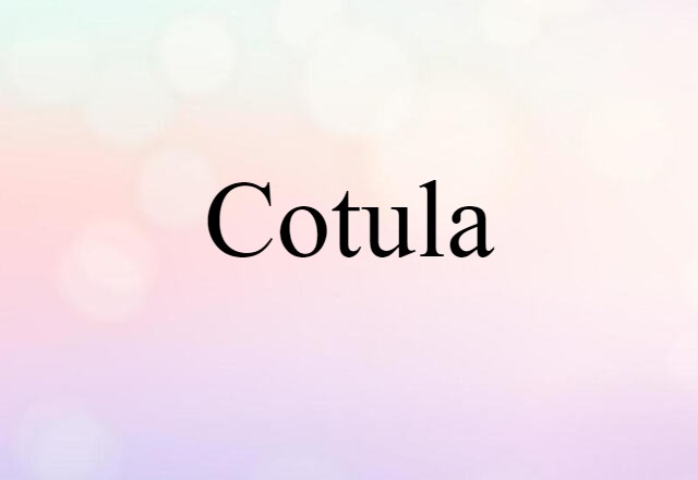 cotula