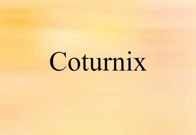 Coturnix (noun) Definition, Meaning & Examples