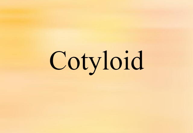 Cotyloid (noun) Definition, Meaning & Examples