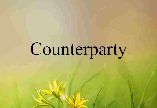 Counterparty (noun) Definition, Meaning & Examples