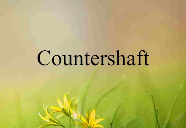 countershaft