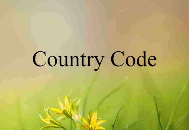 Country Code (noun) Definition, Meaning & Examples