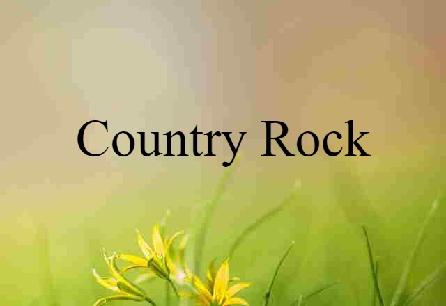 Country Rock (noun) Definition, Meaning & Examples