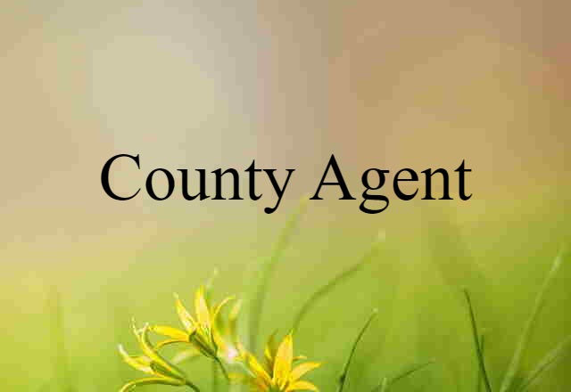 county agent