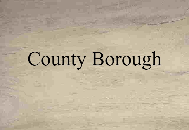 County Borough (noun) Definition, Meaning & Examples