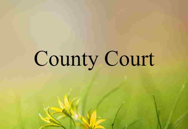 County Court (noun) Definition, Meaning & Examples