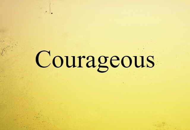 Courageous (noun) Definition, Meaning & Examples