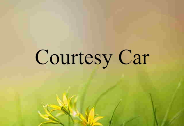 Courtesy Car (noun) Definition, Meaning & Examples