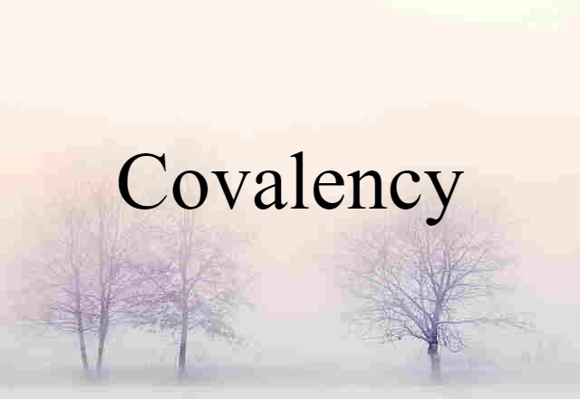 Covalency (noun) Definition, Meaning & Examples