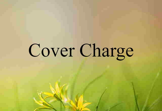 Cover Charge (noun) Definition, Meaning & Examples