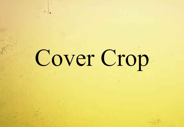 cover crop