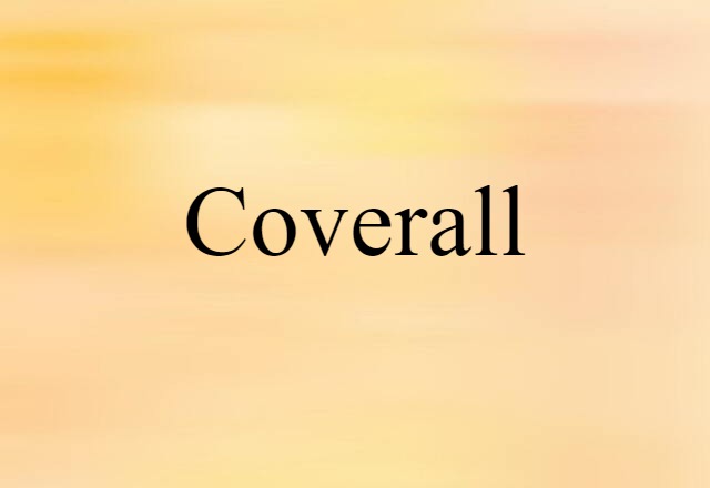 Coverall (noun) Definition, Meaning & Examples