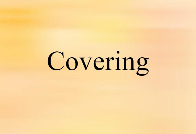 Covering (noun) Definition, Meaning & Examples