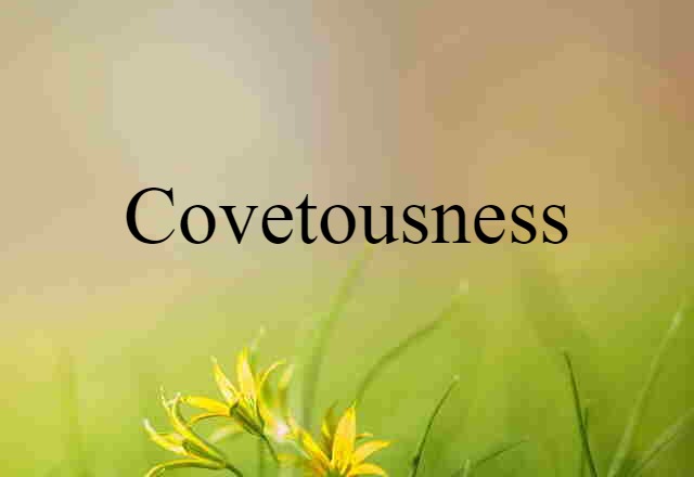 Covetousness (noun) Definition, Meaning & Examples