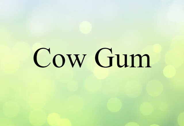 Cow Gum (noun) Definition, Meaning & Examples