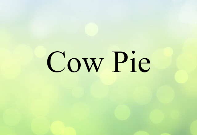 Cow Pie (noun) Definition, Meaning & Examples