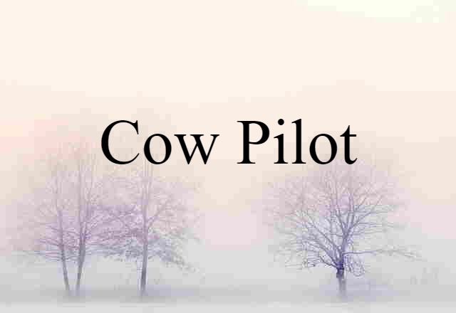 cow pilot