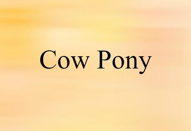 Cow Pony (noun) Definition, Meaning & Examples