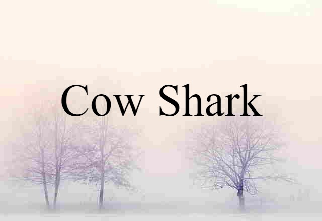 cow shark