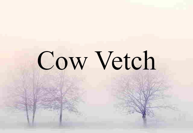 cow vetch