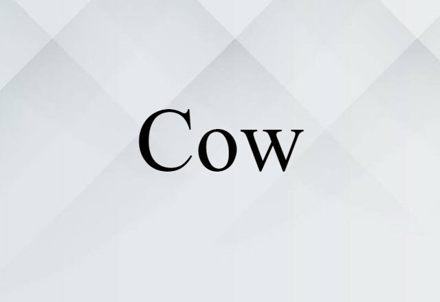 cow