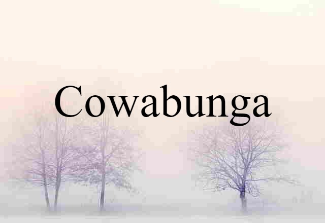 Cowabunga (noun) Definition, Meaning & Examples