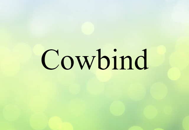 Cowbind (noun) Definition, Meaning & Examples