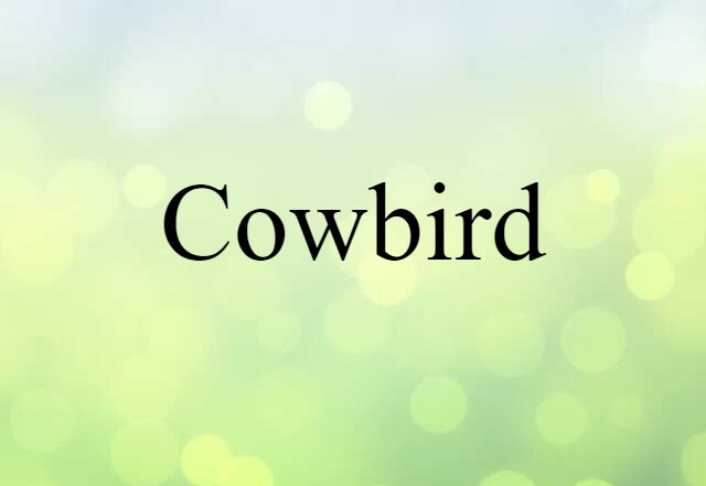 cowbird