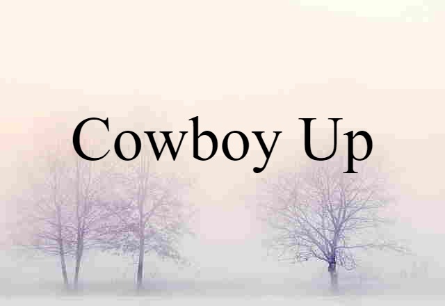 Cowboy Up (noun) Definition, Meaning & Examples