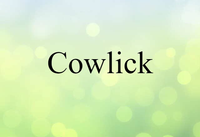 Cowlick (noun) Definition, Meaning & Examples