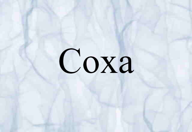 Coxa (noun) Definition, Meaning & Examples