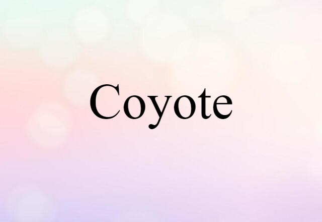 Coyote (noun) Definition, Meaning & Examples