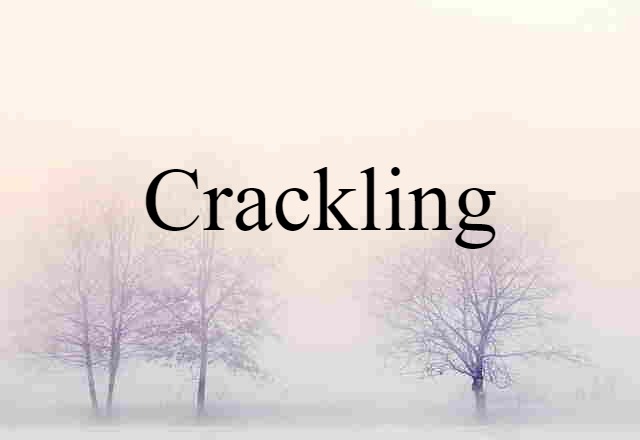 Crackling (noun) Definition, Meaning & Examples