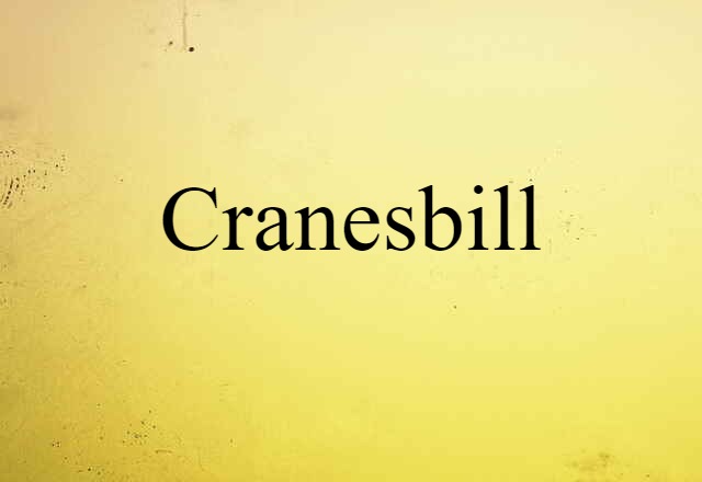 Cranesbill (noun) Definition, Meaning & Examples