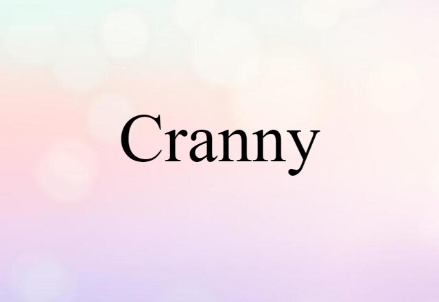 Cranny (noun) Definition, Meaning & Examples