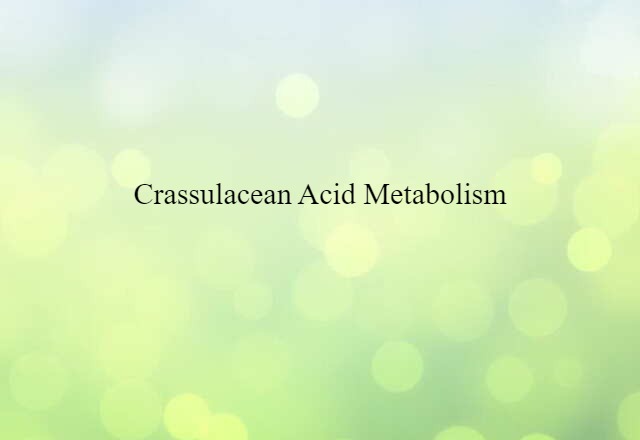 crassulacean acid metabolism