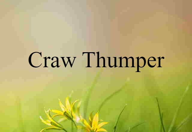 Craw-thumper (noun) Definition, Meaning & Examples