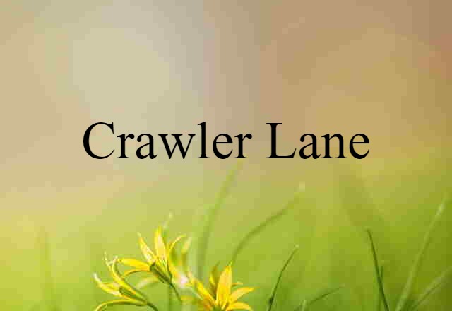 crawler lane