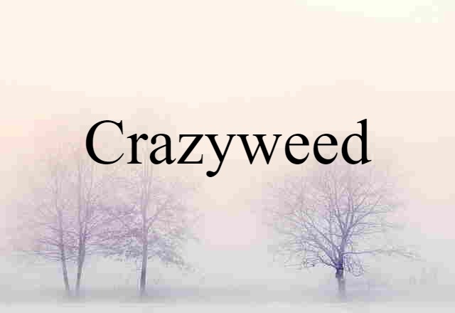 Crazyweed (noun) Definition, Meaning & Examples