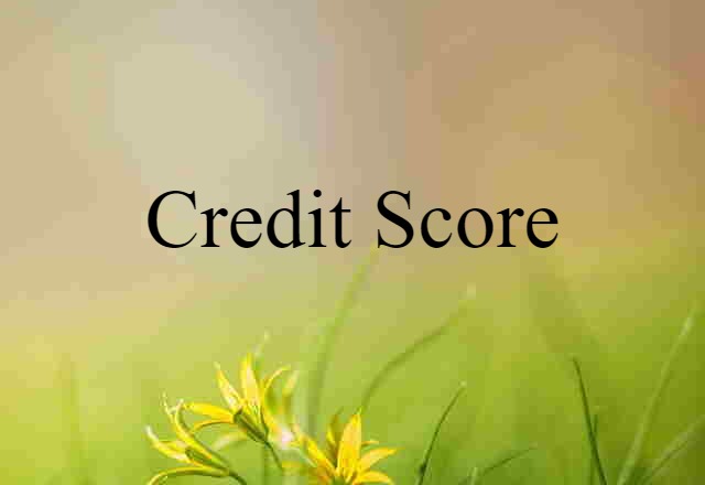 credit score