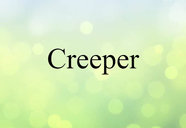 Creeper (noun) Definition, Meaning & Examples