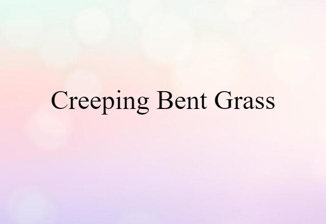 creeping bent grass