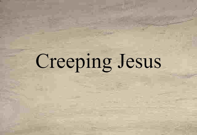 Creeping Jesus (noun) Definition, Meaning & Examples