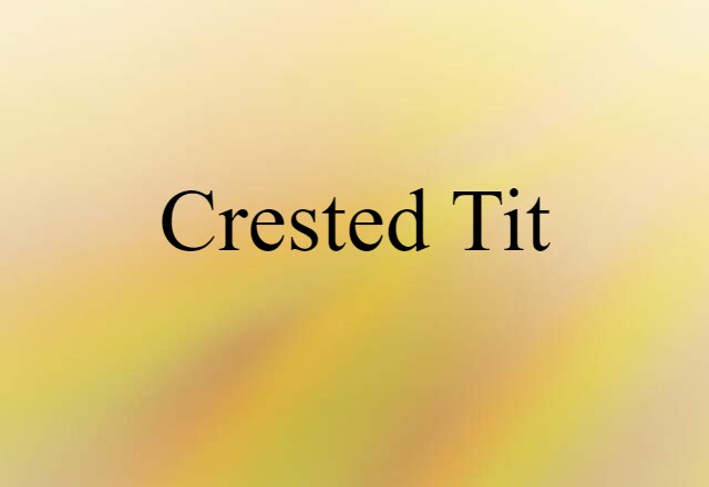 Crested Tit (noun) Definition, Meaning & Examples