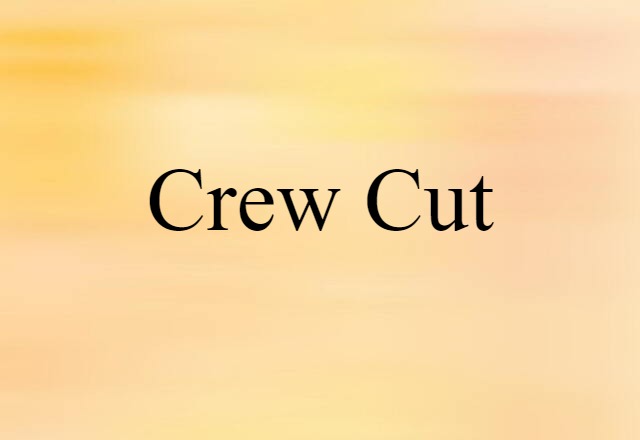 Crew Cut (noun) Definition, Meaning & Examples