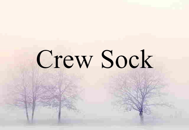 Crew Sock (noun) Definition, Meaning & Examples