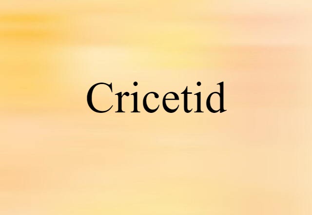 Cricetid (noun) Definition, Meaning & Examples