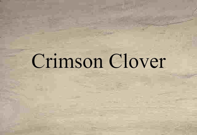 crimson clover