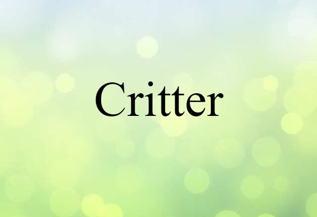 Critter (noun) Definition, Meaning & Examples